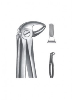  Extracting Forceps